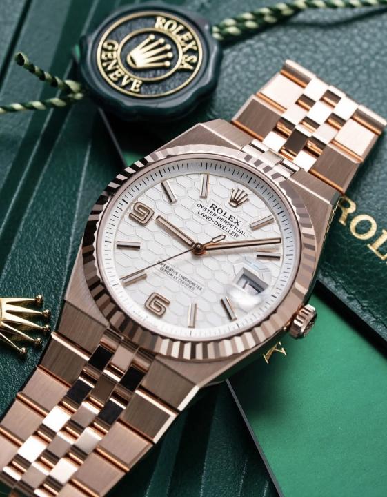 ROLEX 127335 ROSE GOLD LAND DWELLER 2025 NEW